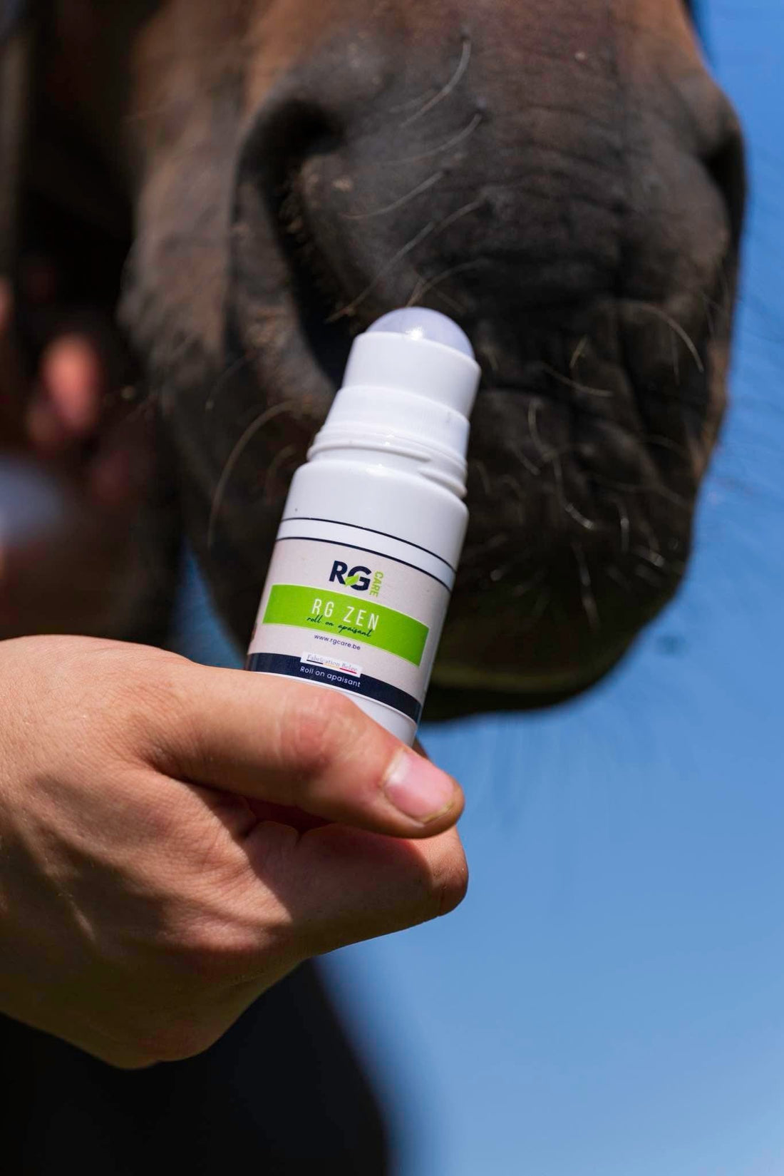 Cheval stressé ? Voici nos astuces pour retrouver calme et sérénité